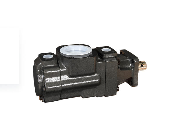 T6GCC pump